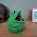 Chompy the Frog - Bát đựng đồ hình ếch & Hộp đựng kẹo - Thumbnail 9