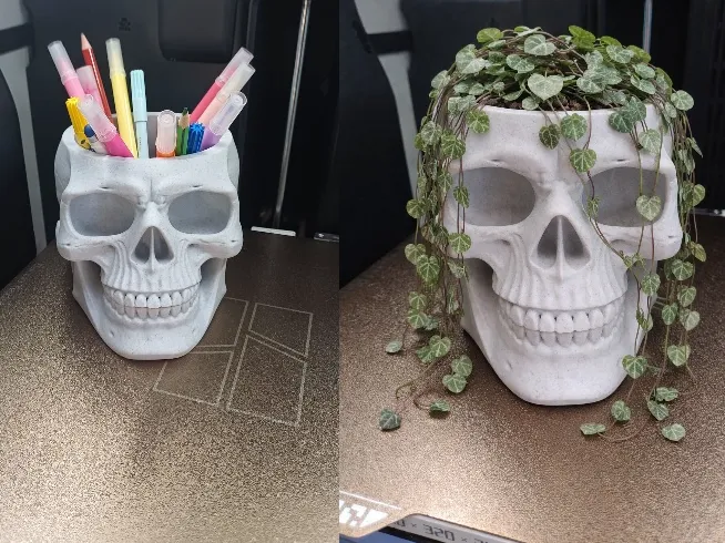 Skull ban ngày là ống cắm bút, ban đêm là chậu cây - Image 1