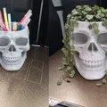 Skull ban ngày là ống cắm bút, ban đêm là chậu cây - Thumbnail 1