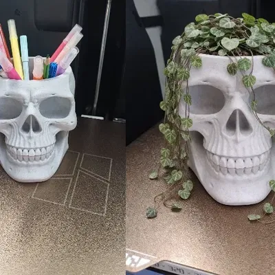 Skull ban ngày là ống cắm bút, ban đêm là chậu cây