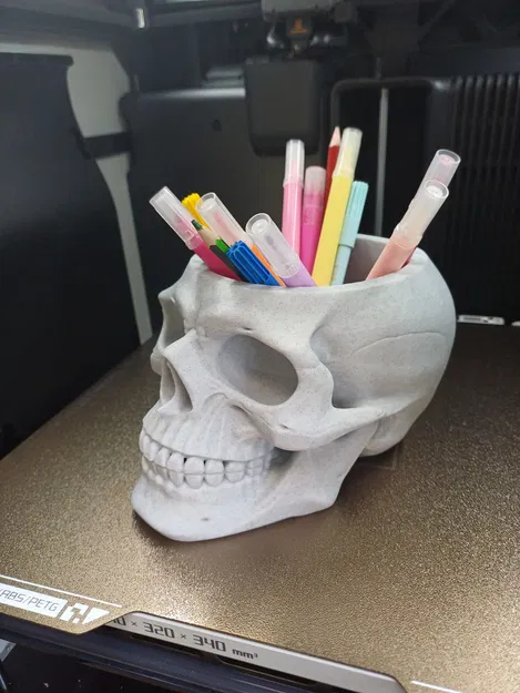 Skull ban ngày là ống cắm bút, ban đêm là chậu cây - Image 4