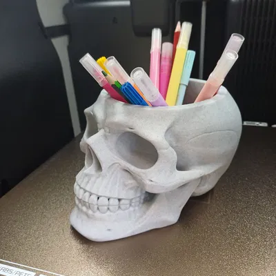 Skull ban ngày là ống cắm bút, ban đêm là chậu cây