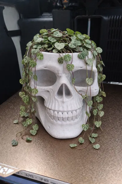 Skull ban ngày là ống cắm bút, ban đêm là chậu cây - Image 7