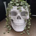 Skull ban ngày là ống cắm bút, ban đêm là chậu cây - Thumbnail 7