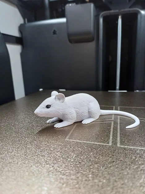 Chuột Nhỏ Lém Lỉnh (Sneaky Little Mouse) - Image 1