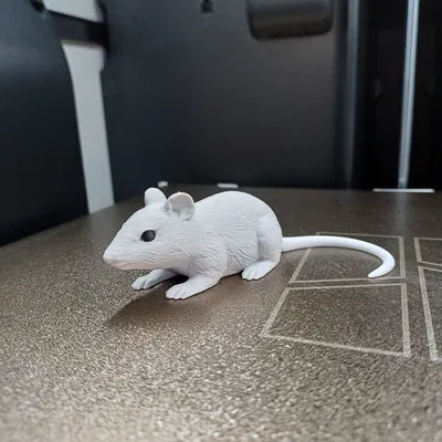 Chuột Nhỏ Lém Lỉnh (Sneaky Little Mouse)