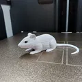 Chuột Nhỏ Lém Lỉnh (Sneaky Little Mouse) - Thumbnail 4
