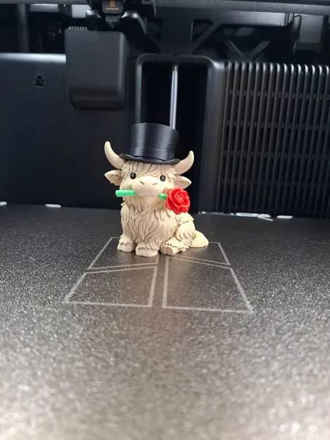 Bò Highland Valentine – Phiên bản Quý Ông (Gentleman Edition) - Image 2