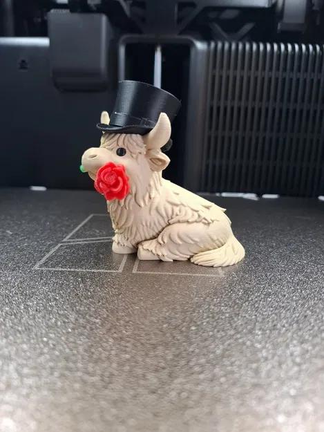 Bò Highland Valentine – Phiên bản Quý Ông (Gentleman Edition) - Image 4