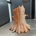 Nhà Fantasy Trong Gốc Cây (Fantasy Tree Stump House) - Thumbnail 4