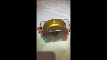 PolyDryer Mod – Bản mod hạ thấp phần tâm (lowering center) - Thumbnail 1