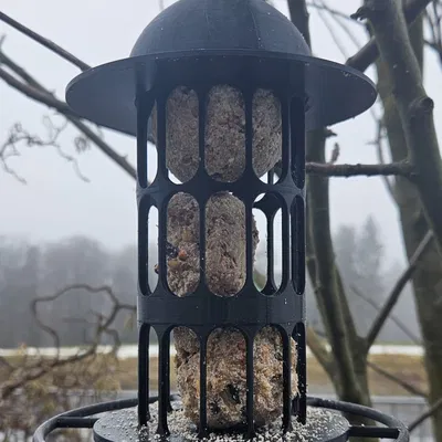 Máng ăn cho chim dành cho viên mỡ ("Meisenknödel")