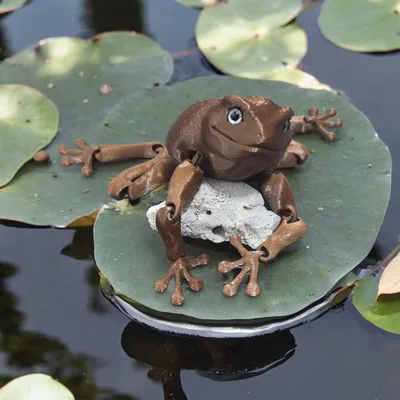 Flexi Toad - Tương thích mắt thủy tinh 6mm