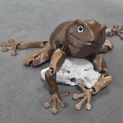 Flexi Toad - Tương thích mắt thủy tinh 6mm