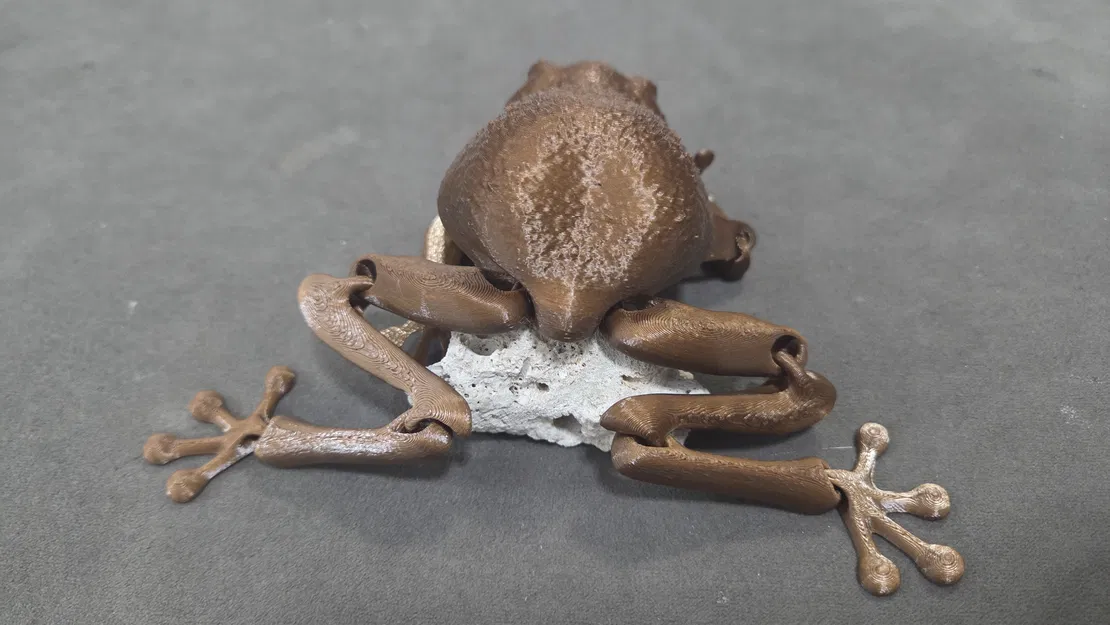 Flexi Toad - Tương thích mắt thủy tinh 6mm - Image 10