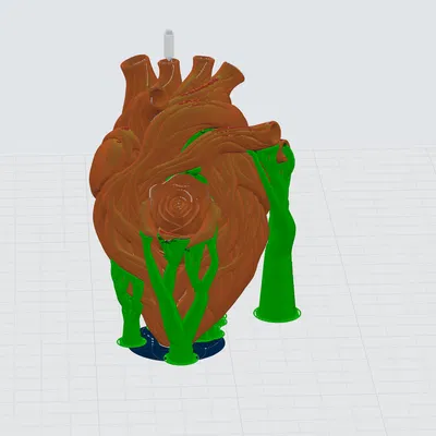 Hoa hồng trong trái tim (rose in heart)