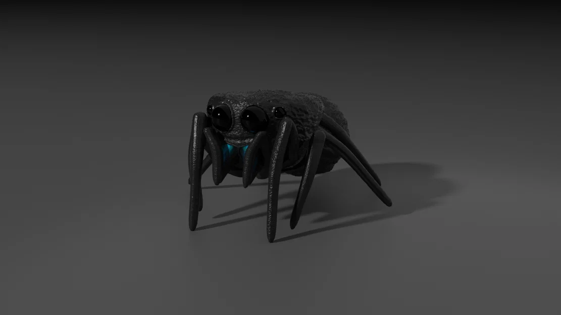 Nhện Nhảy (Jumping Spider) - Image 1