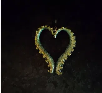 Dây chuyền trái tim xúc tu - Image 1