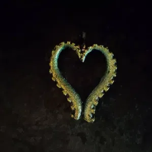 Dây chuyền trái tim xúc tu