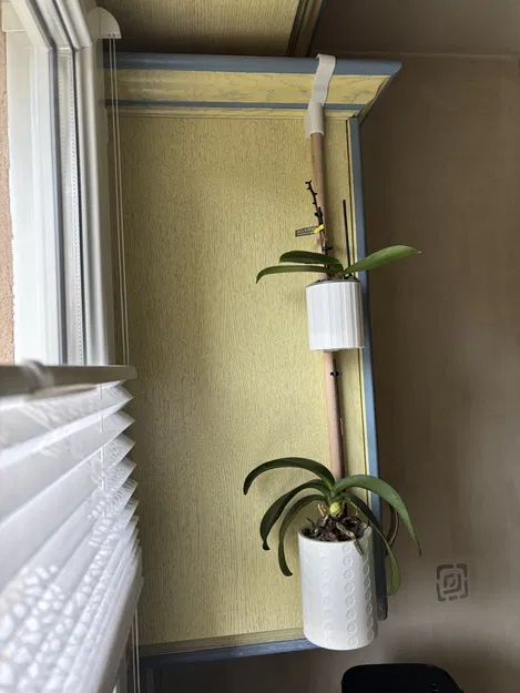 Dự án Cuối Tuần – Chậu Hoa Parametric - Image 1