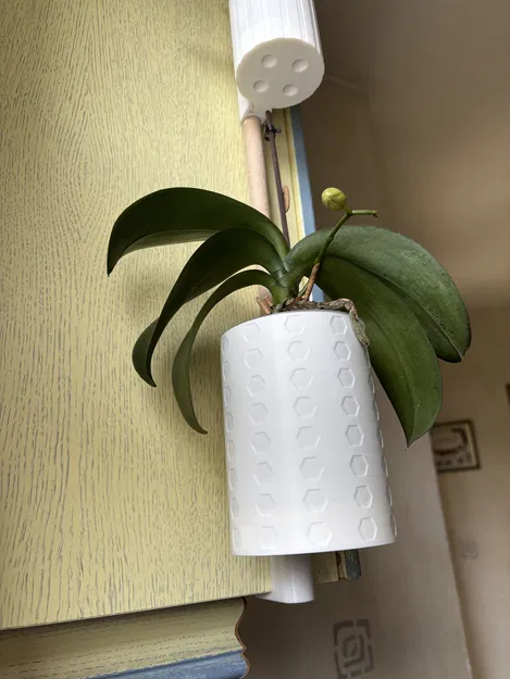 Dự án Cuối Tuần – Chậu Hoa Parametric - Image 2