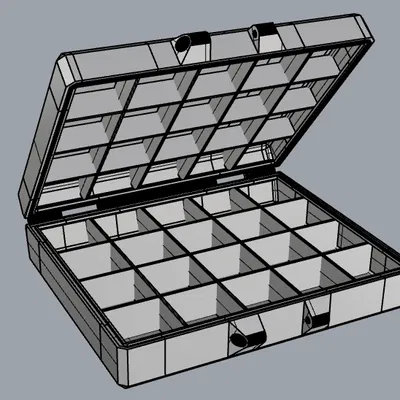 Hộp Đựng Thuốc Cỡ Lớn (Large Pill Box)