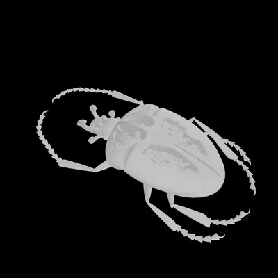 Goliathus mechanicus