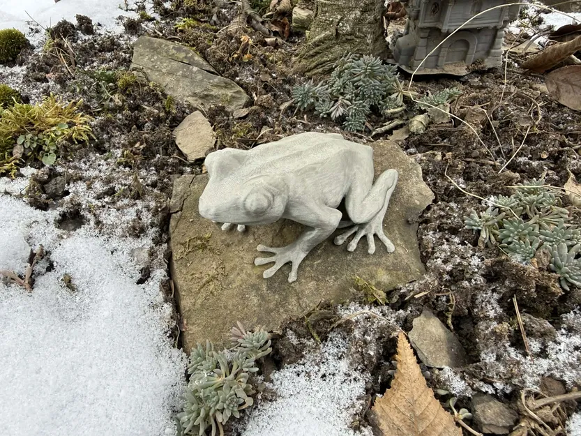 Ếch ngồi chân thực (Realistic Sitting Frog) - Image 1