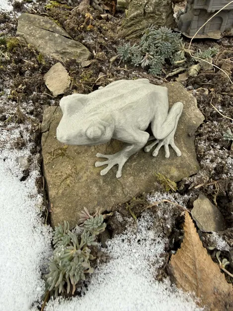 Ếch ngồi chân thực (Realistic Sitting Frog) - Image 3