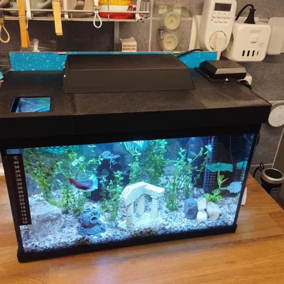 Nắp hồ cá 400x200 (Aquarium cover 400x200)