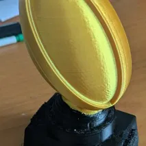 Cúp - Cúp lưu niệm - Rugby