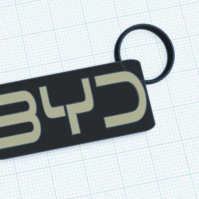 Móc khóa BYD (BYD keychain)