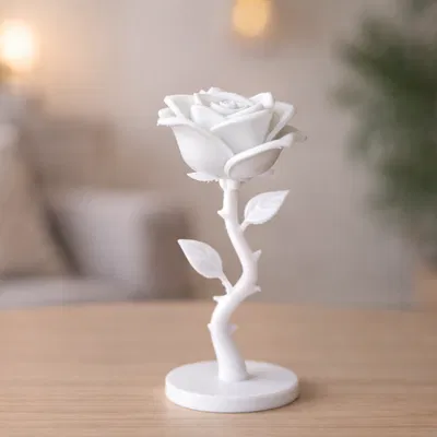 Elegant Rose – Hoa Hồng Tối Giản Thanh Lịch