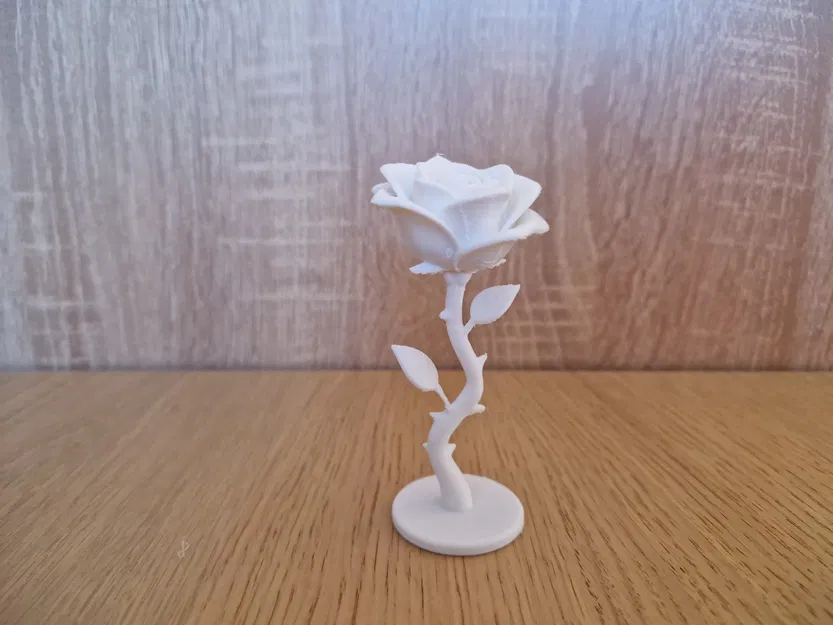 Elegant Rose – Hoa Hồng Tối Giản Thanh Lịch - Image 3