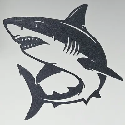 Shark Wallart