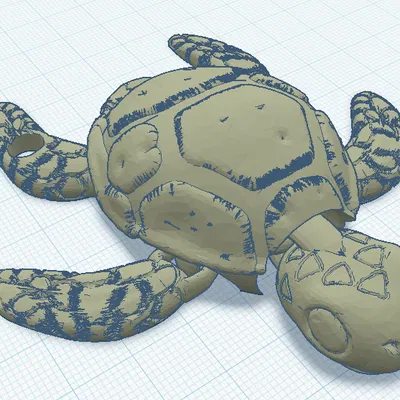 Móc Khóa Rùa Khớp Nối (Articulated Turtle Keychain)