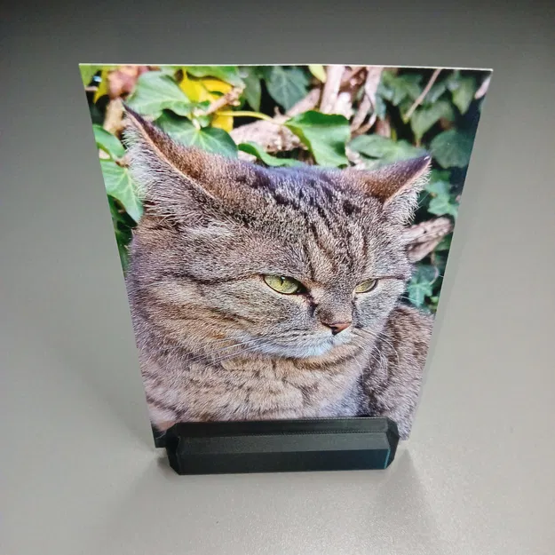 Kẹp ảnh __ Đế postcard __ với phần đế vững - Image 1