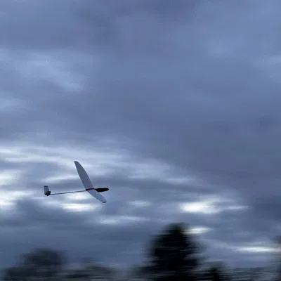 Máy bay lượn RC Motorglider sải cánh 1.7m (in 3D)