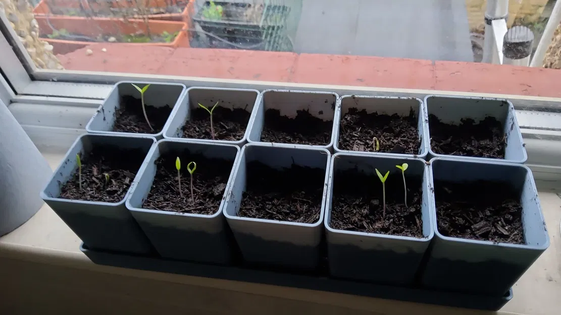 Bộ chậu ươm hạt kèm khay (10 chậu) - Image 1