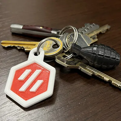 Móc khóa Voron (Voron keychain)