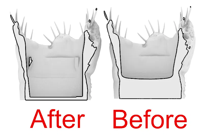 Xô Iron Lung khoét rỗng (Hollowed out Iron Lung Bucket) - Image 3