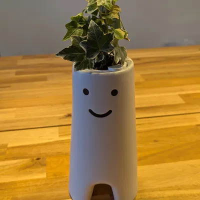 Insert chậu cây cho bình Ikea FRÖVÄXT