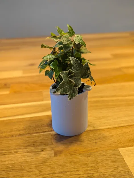 Insert chậu cây cho bình Ikea FRÖVÄXT - Image 4