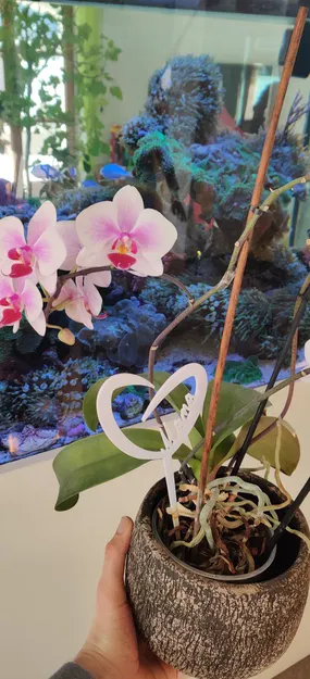 Muttertagsgeschenk – Quà tặng Ngày của Mẹ - Image 2