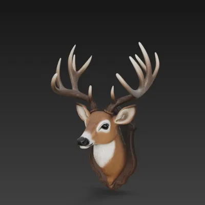 Đầu hươu treo tường (trophy)