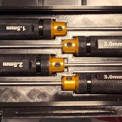 Khay Gridfinity 2x5 cho 4 Tua vít lục giác precision (1.5–3.0mm)