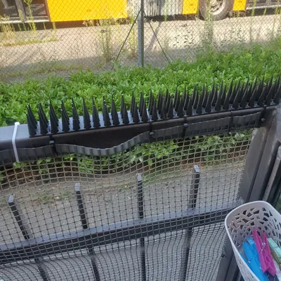 Gai chống chim bồ câu/mèo (Anti-Pigeon/Cats Spikes) dạng module