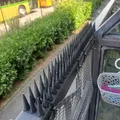 Gai chống chim bồ câu/mèo (Anti-Pigeon/Cats Spikes) dạng module - Thumbnail 2