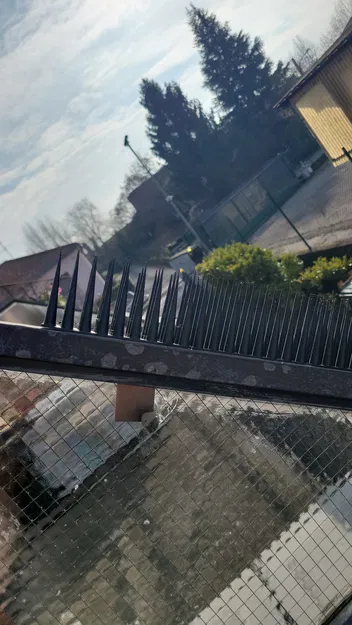 Gai Chống Chim Bồ Câu/Mèo Dài (Long Anti-Pigeon/Cats Spikes) - Image 1