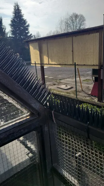 Gai Chống Chim Bồ Câu/Mèo Dài (Long Anti-Pigeon/Cats Spikes) - Image 2